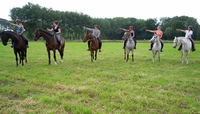 groepslessen parelli groepslessen parelli