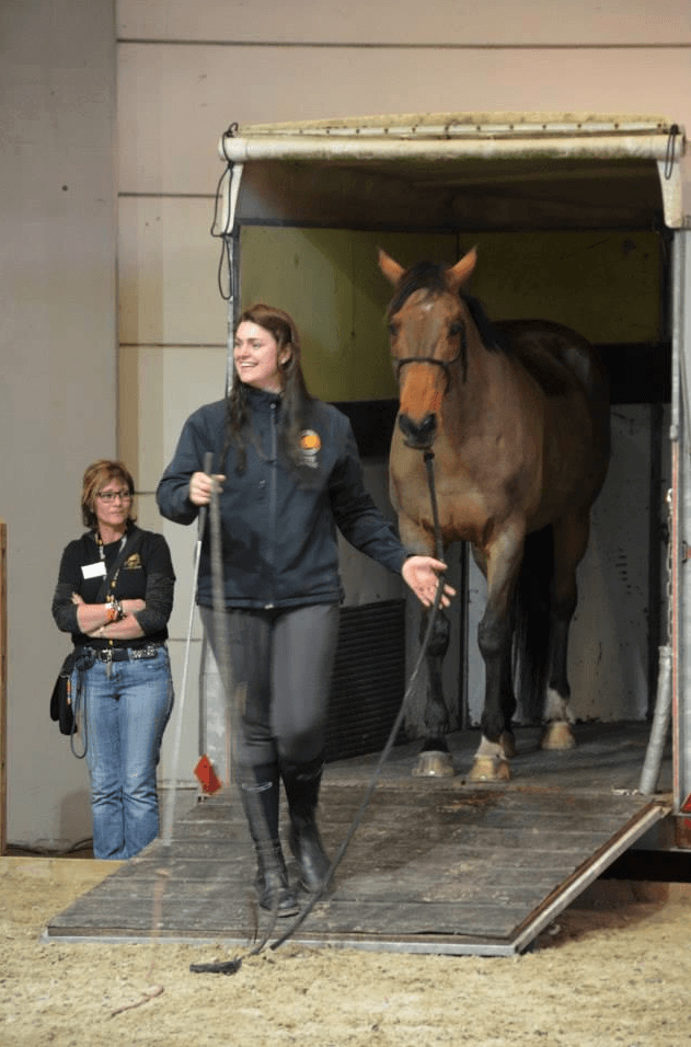 Opleiding trailerladen paarden